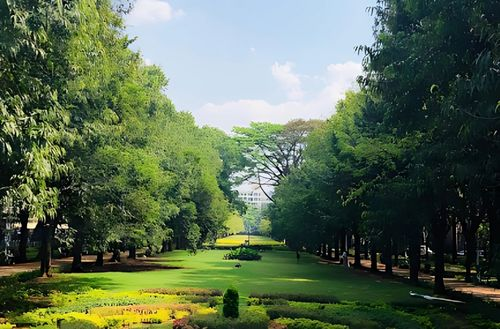 Cubbon Park - The Heart of Bangalore