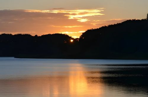 Hebbal Lake Park - Birdwatcher's Paradise