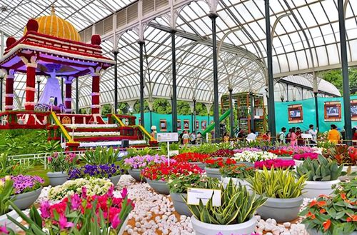  Lal Bagh Botanical Garden - Floral Bliss