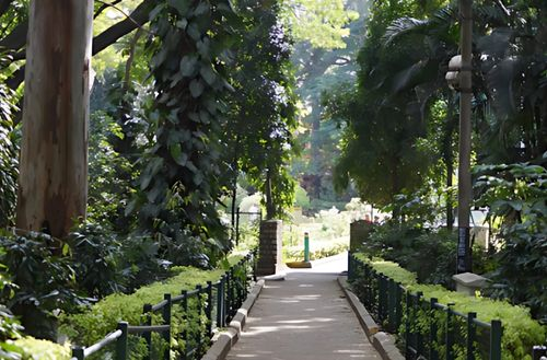 Bugle Rock Park - Historical Charm
