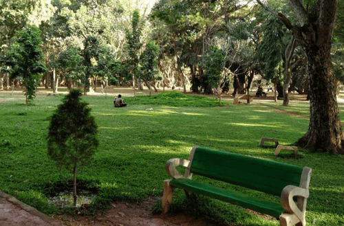 Coles Park – A Neighborhood Favorite