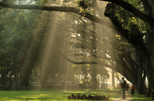 JP Park (Jayaprakash Narayan Biodiversity Park) – Greenery with a Purpose