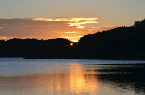 Hebbal Lake Park – A Birdwatcher’s Paradise