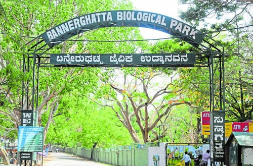Bannerghatta National Park
