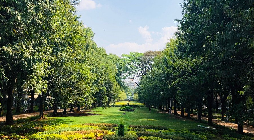 Cubbon Park