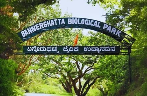 Bannerghatta National Park – A Wildlife Experience
